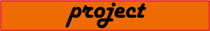 project management