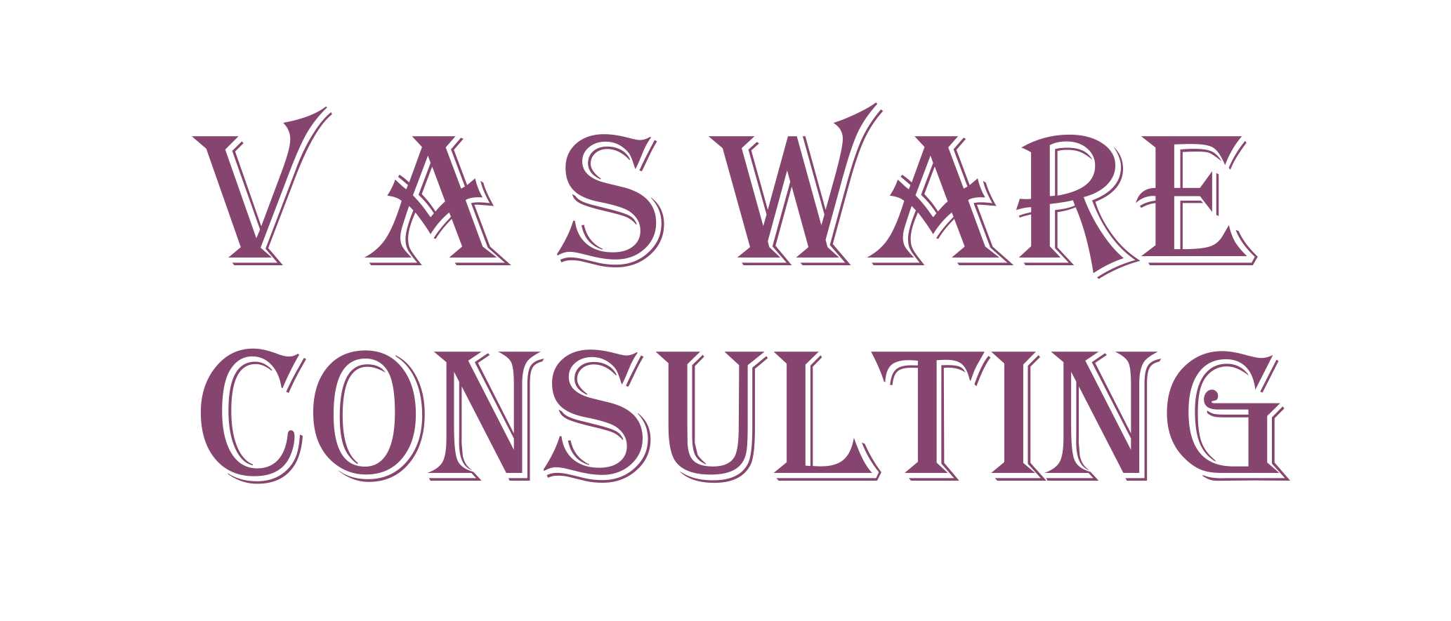 VasWARE Consulting