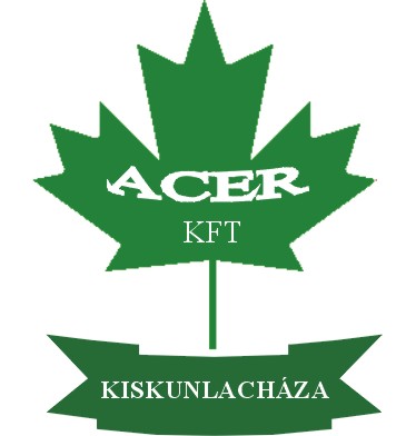 Acer logó